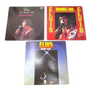 Elvis Presley Vinyl Record Lot of 3 Moody Blue Burning Love He Touched Me Set